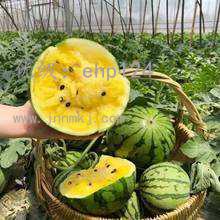 Ŀ