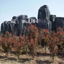 Ŀ