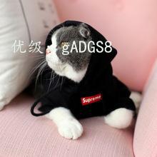 ̫