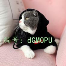 ͬѧ
